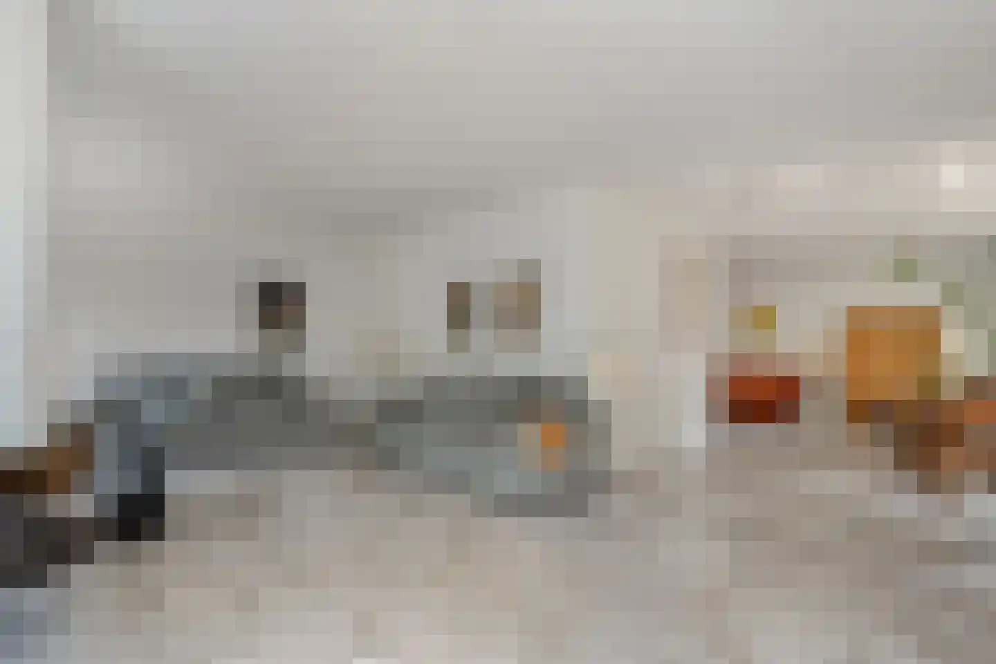 Goudplevier 14 Raalte thumbnail 19