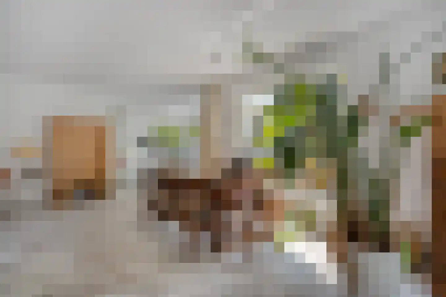Goudplevier 14 Raalte thumbnail 21