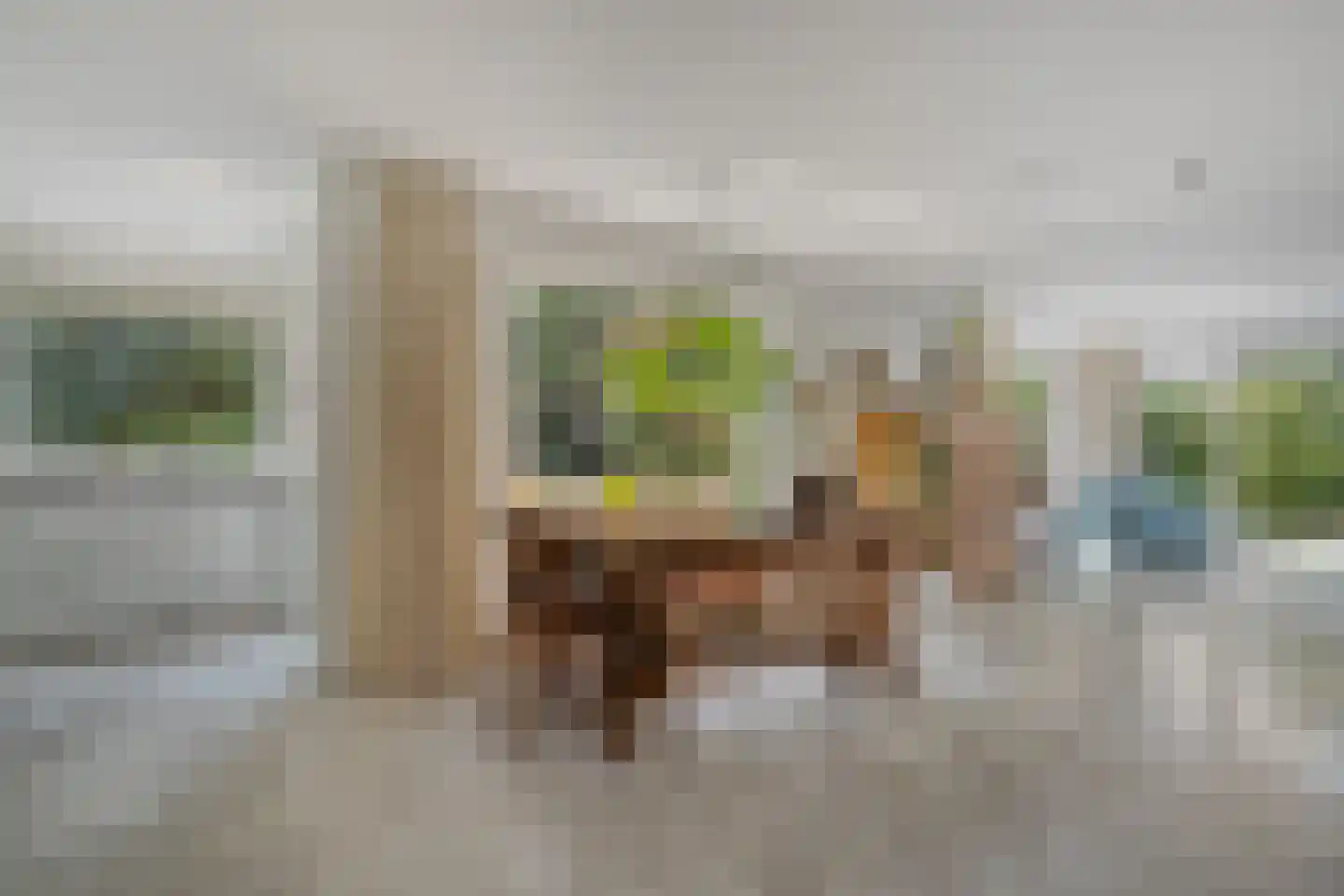 Goudplevier 14 Raalte thumbnail 22
