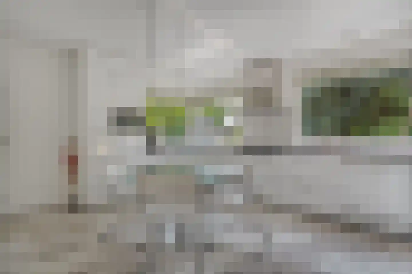 Goudplevier 14 Raalte thumbnail 24
