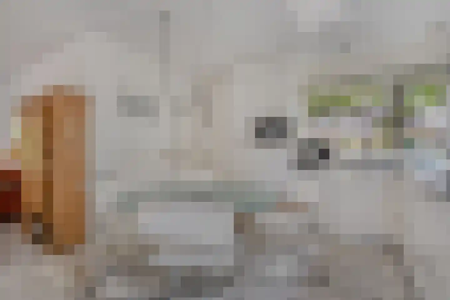 Goudplevier 14 Raalte thumbnail 25