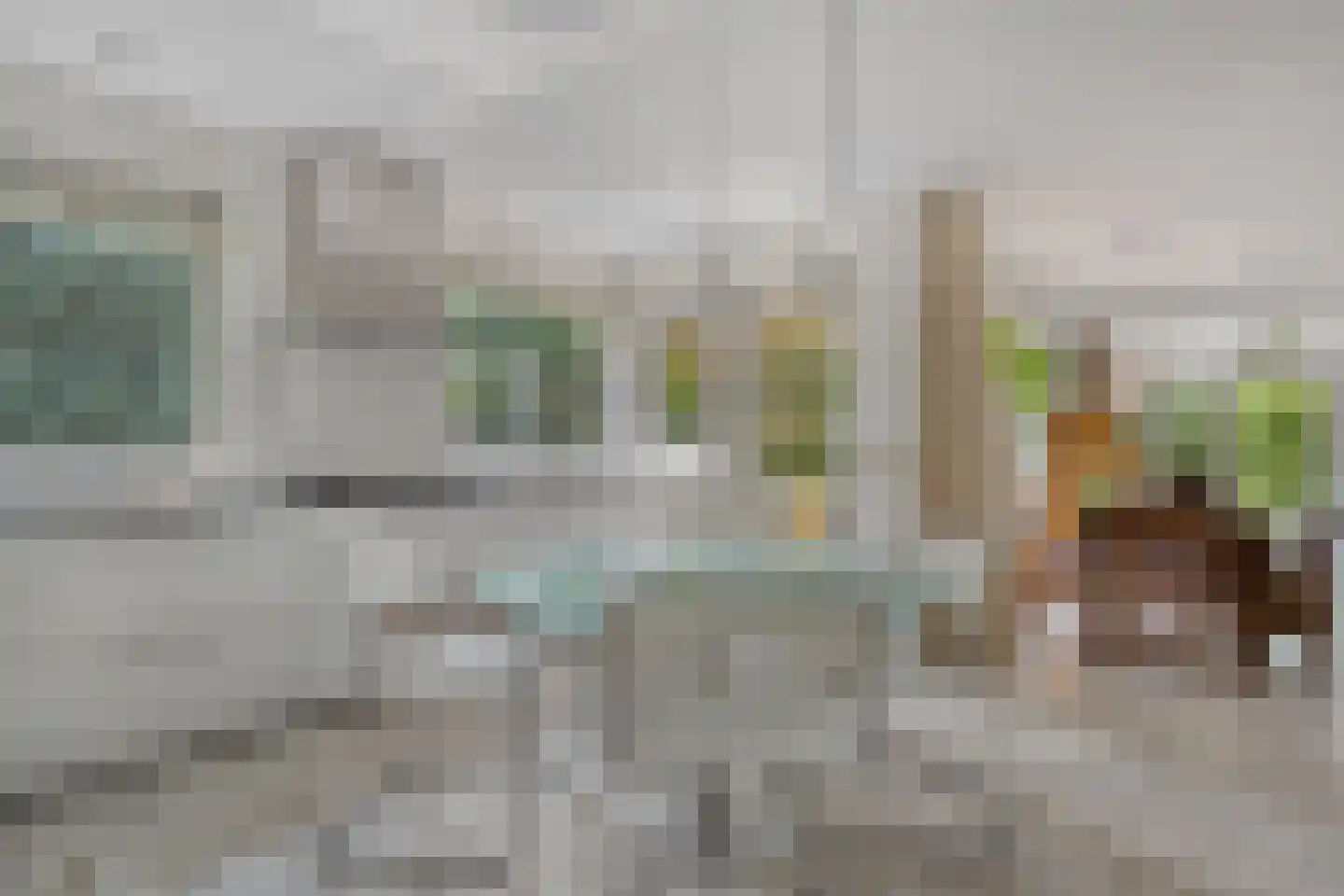 Goudplevier 14 Raalte thumbnail 26