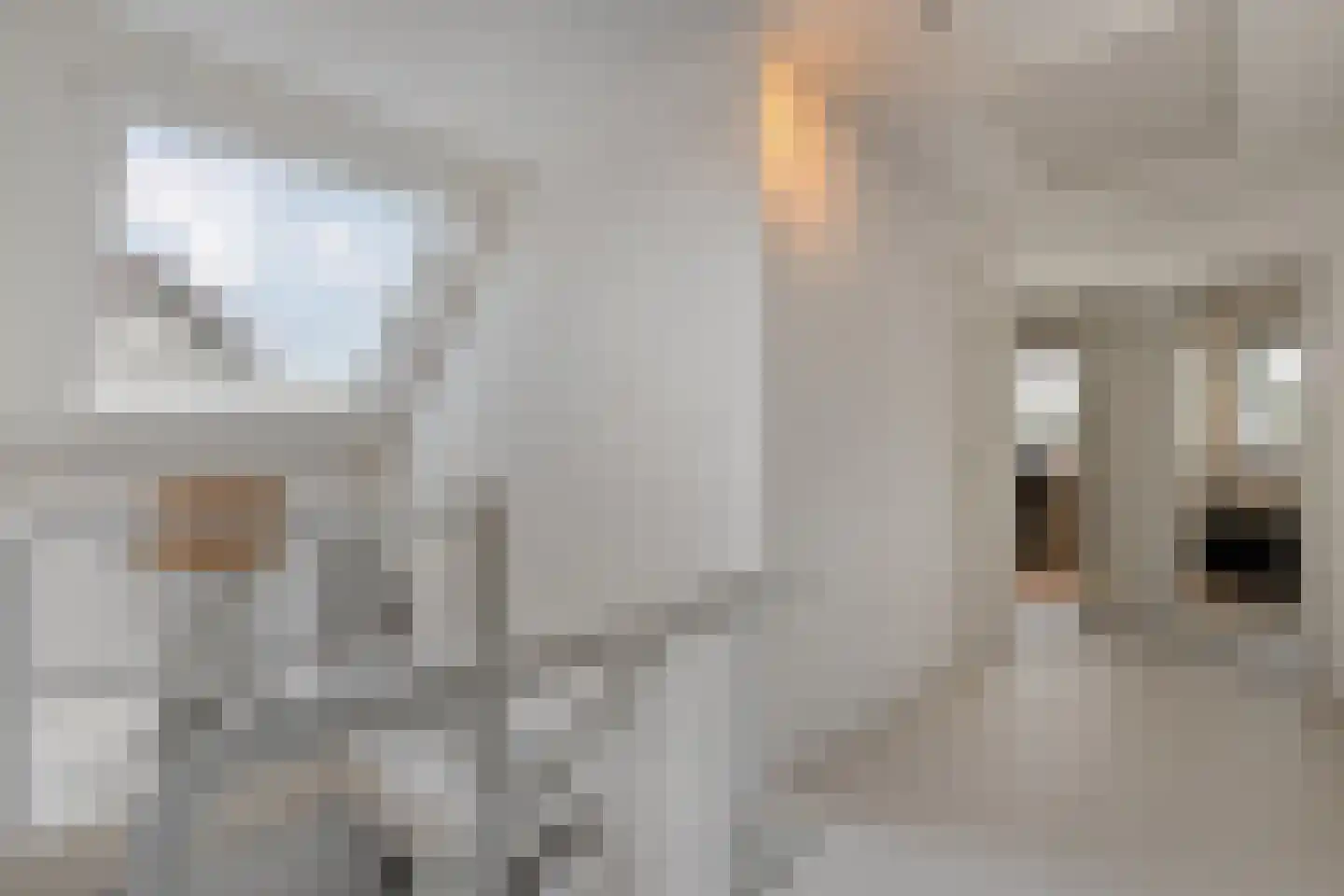 Goudplevier 14 Raalte thumbnail 31