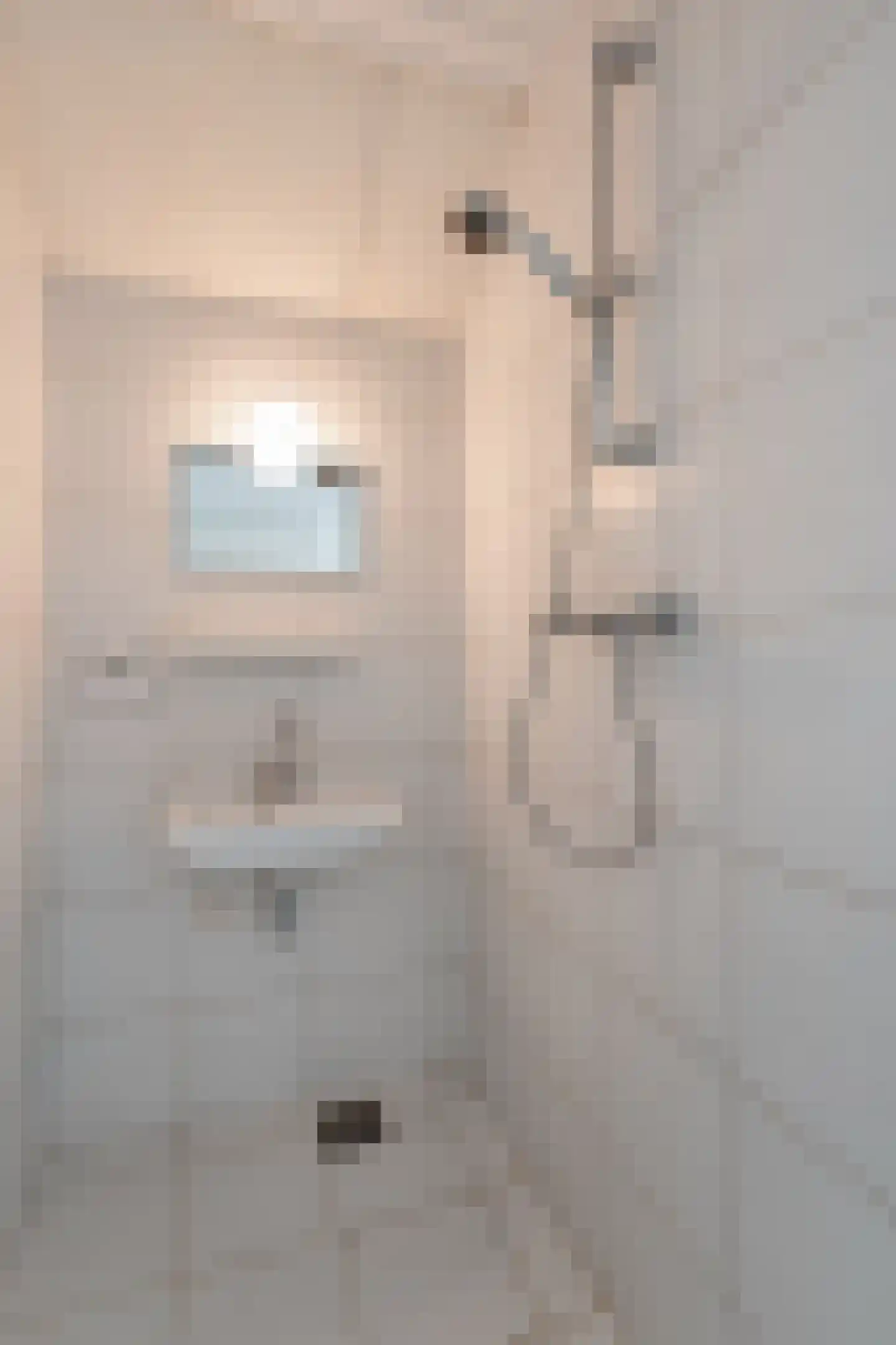Goudplevier 14 Raalte thumbnail 33