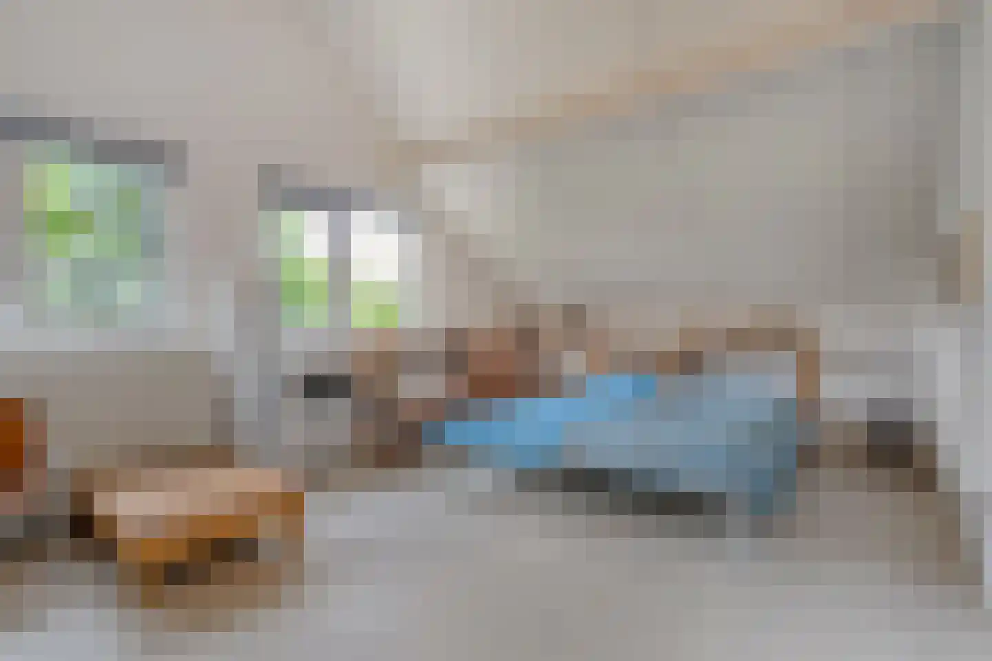 Goudplevier 14 Raalte thumbnail 34