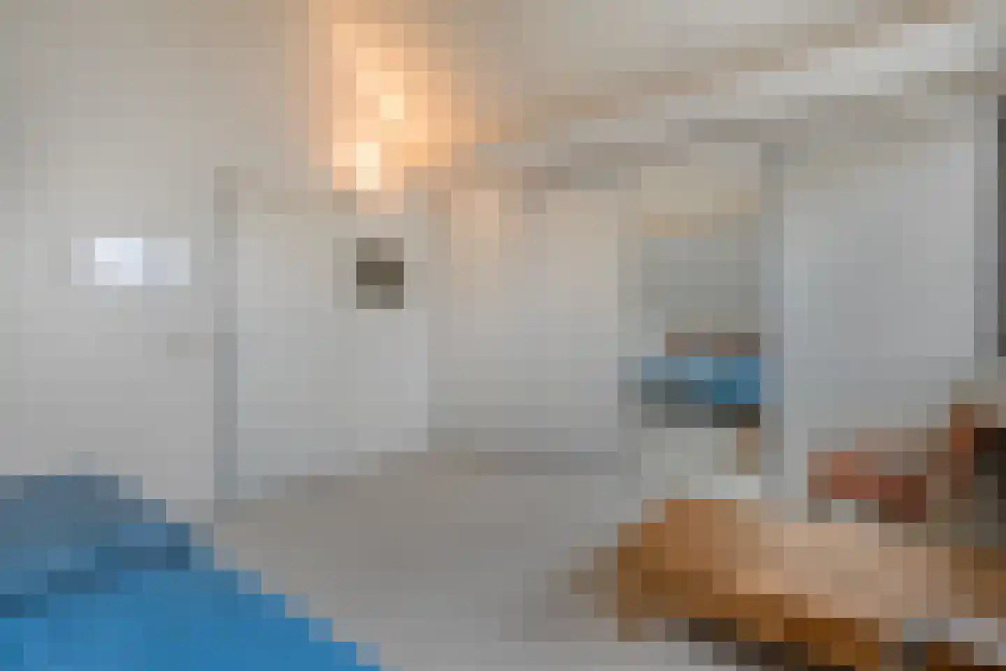Goudplevier 14 Raalte thumbnail 35
