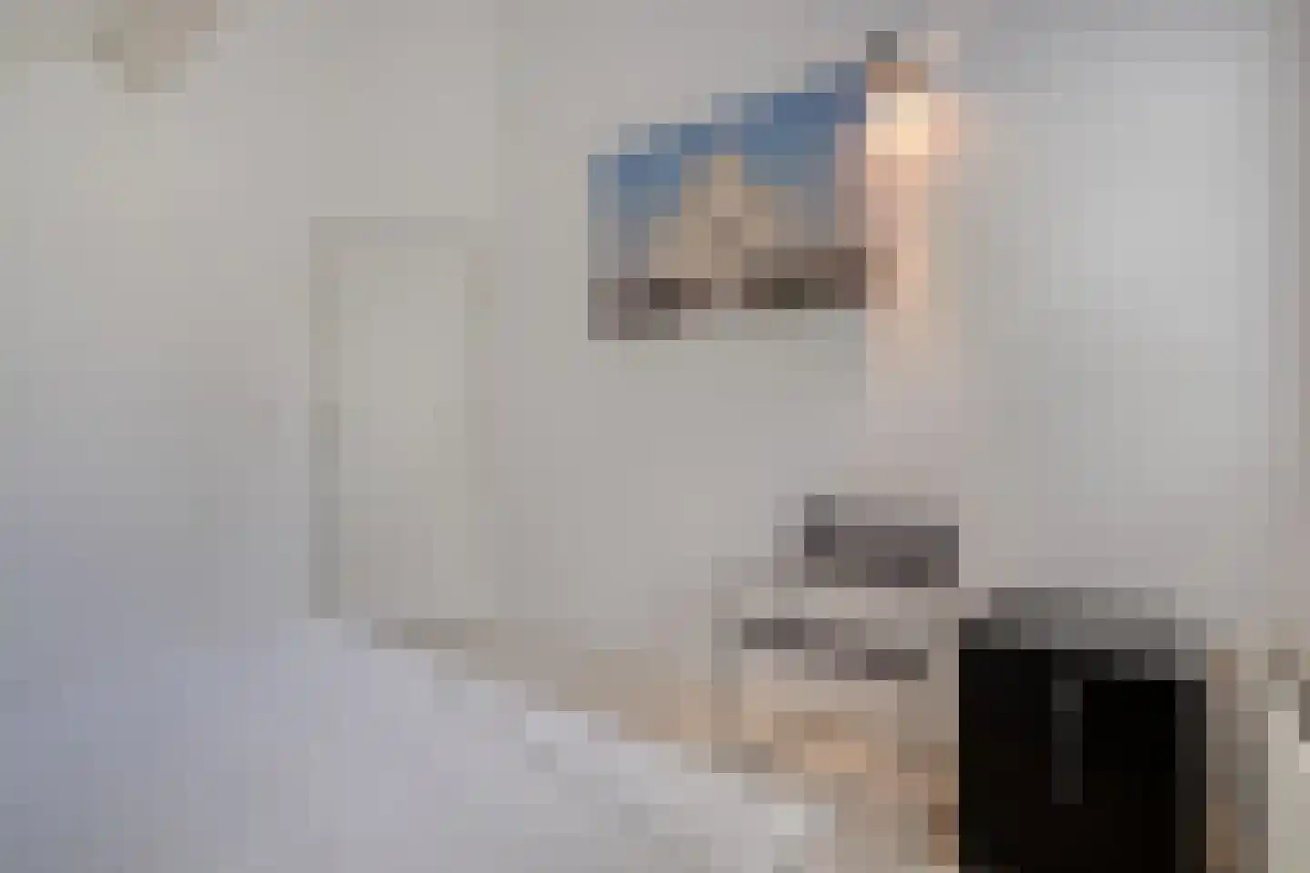 Goudplevier 14 Raalte thumbnail 39