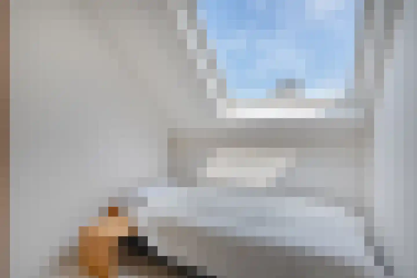 Goudplevier 14 Raalte thumbnail 41
