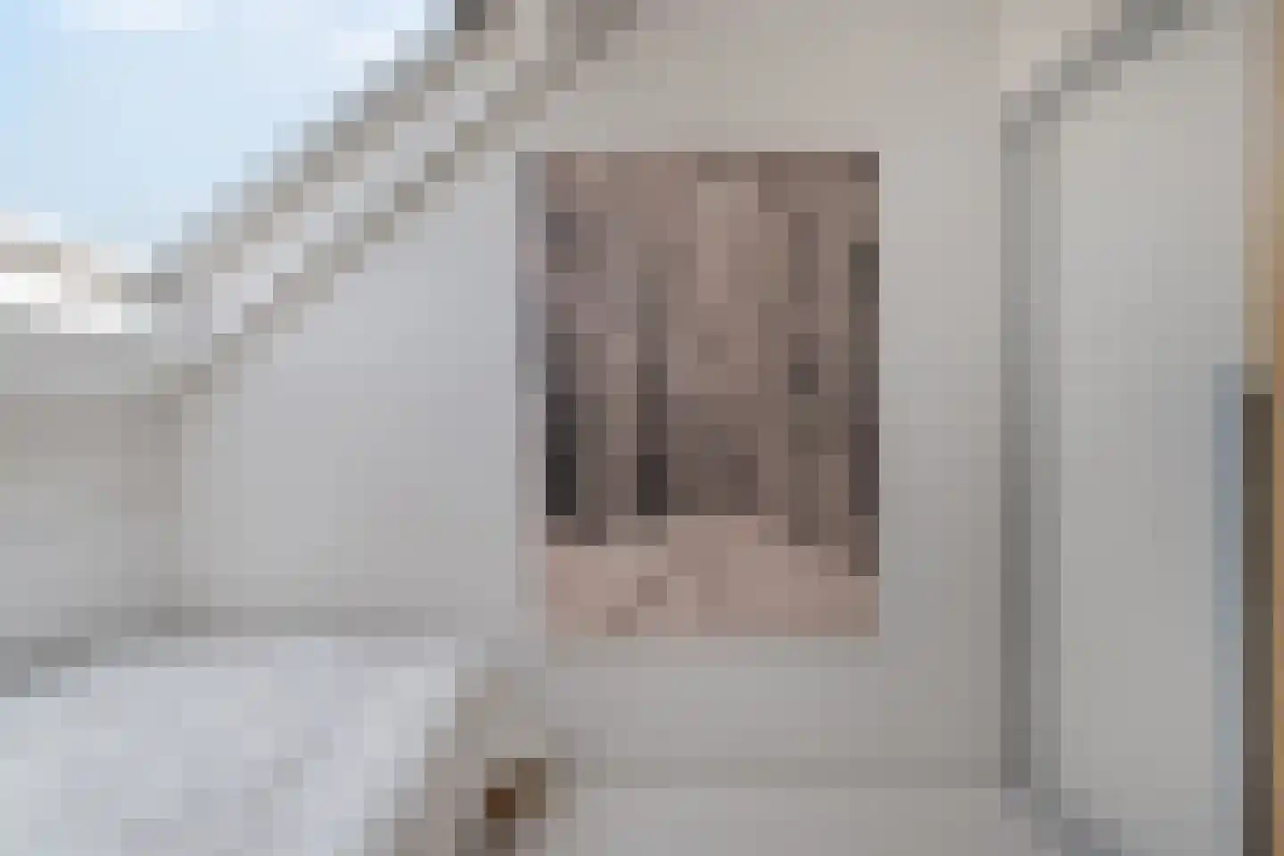 Goudplevier 14 Raalte thumbnail 42