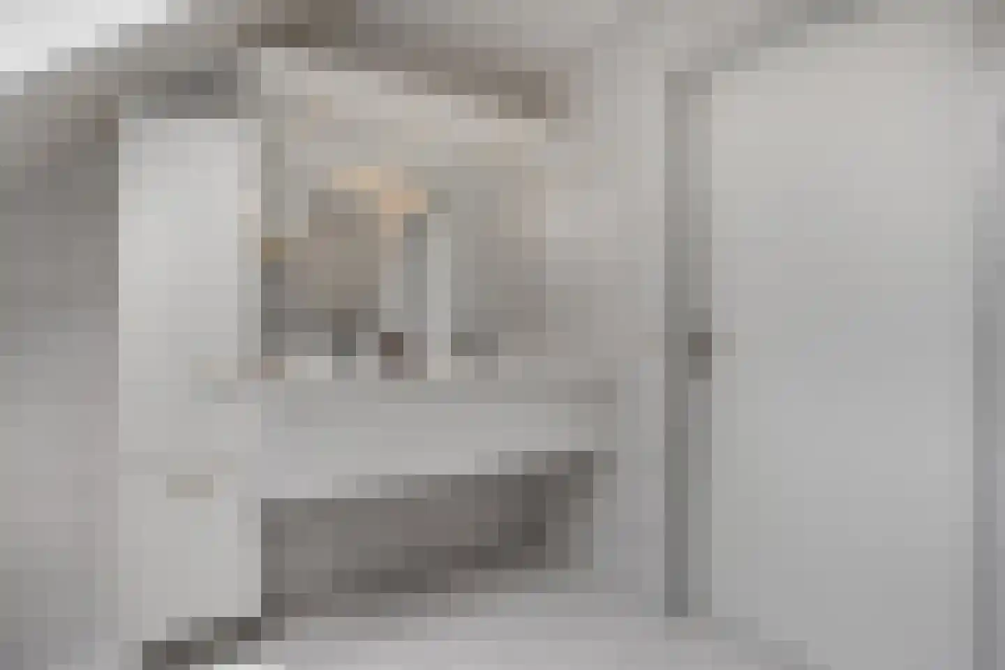 Goudplevier 14 Raalte thumbnail 43