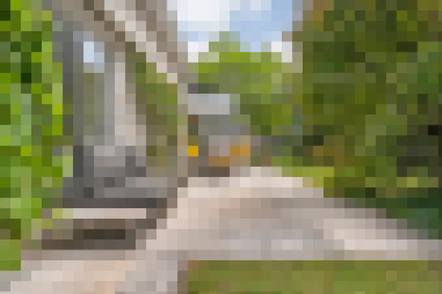 Goudplevier 14 Raalte thumbnail 49