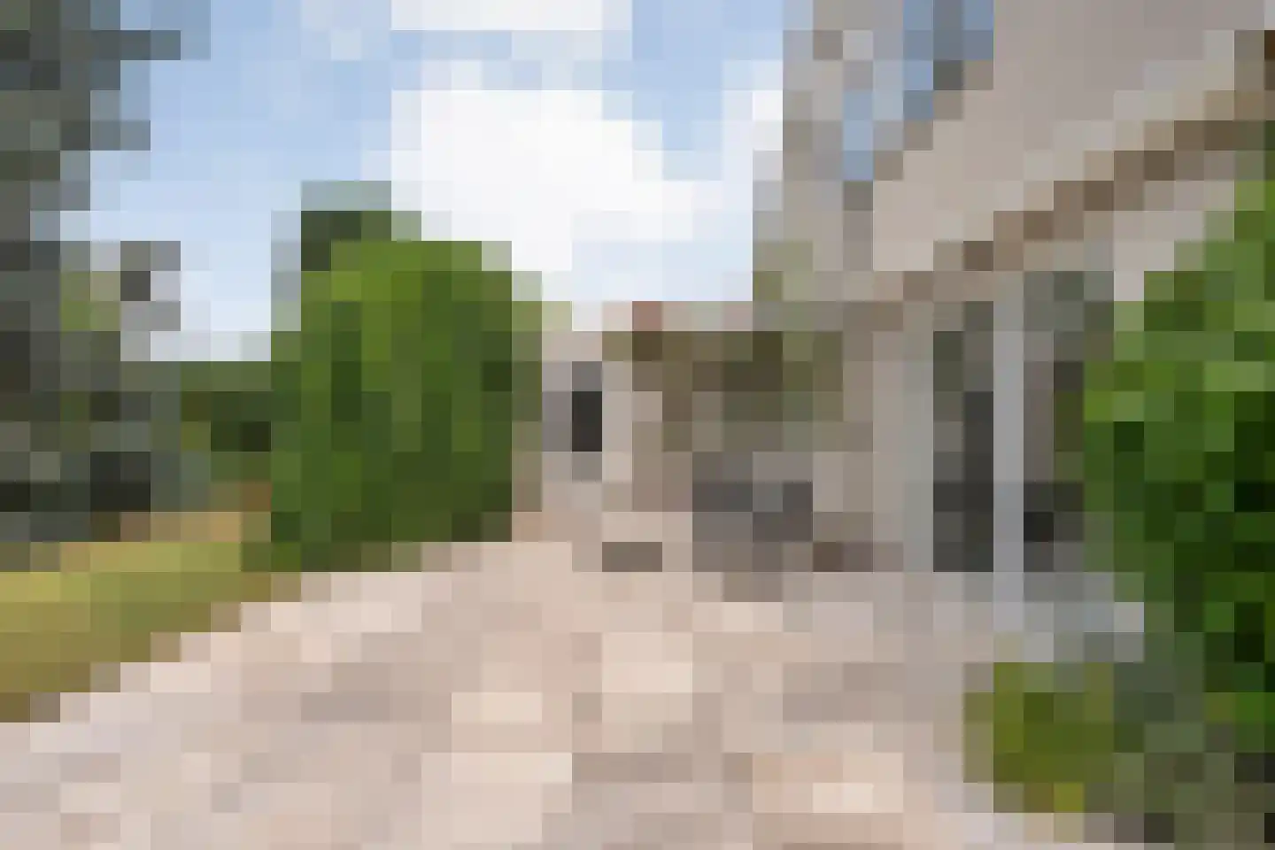 Goudplevier 14 Raalte thumbnail 50