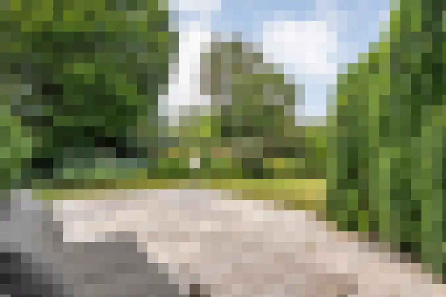 Goudplevier 14 Raalte thumbnail 51