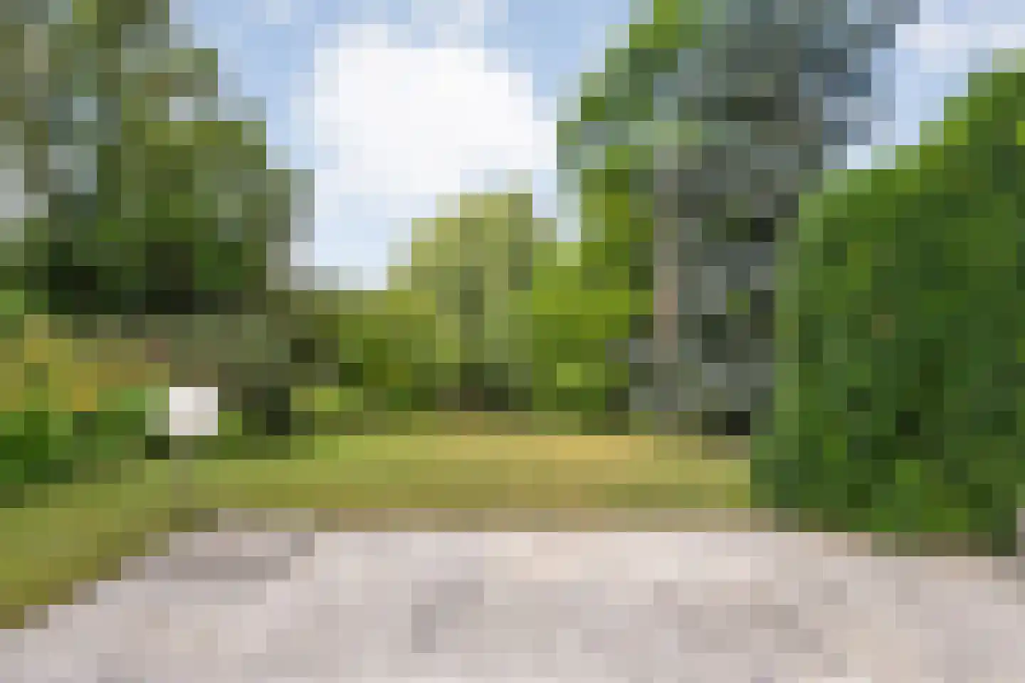 Goudplevier 14 Raalte thumbnail 52