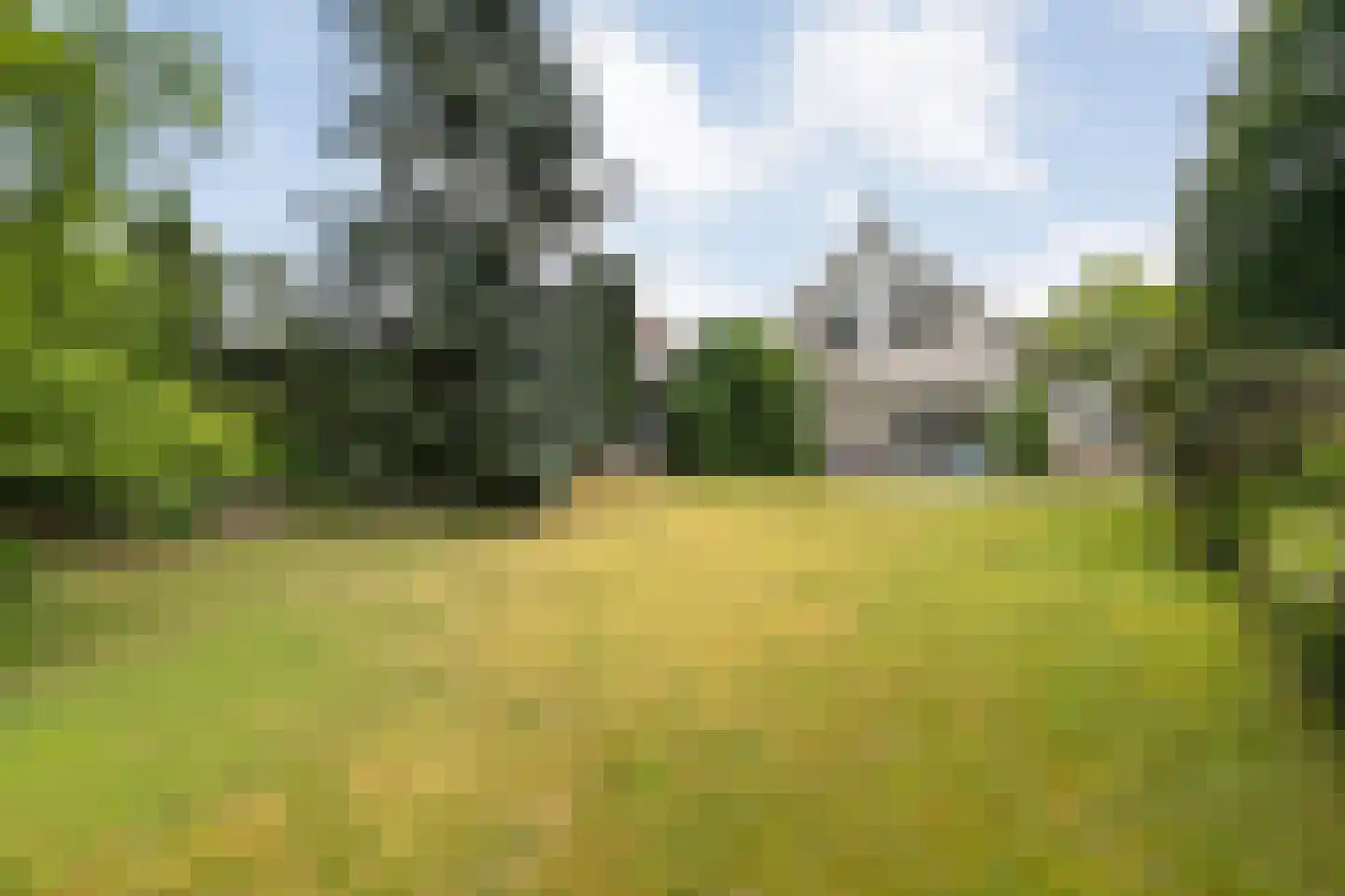 Goudplevier 14 Raalte thumbnail 54