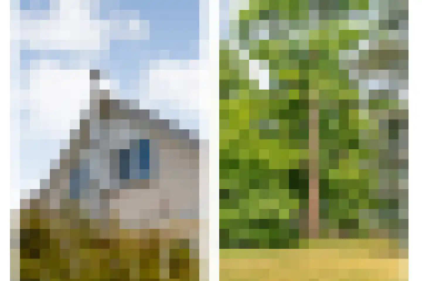 Goudplevier 14 Raalte thumbnail 55