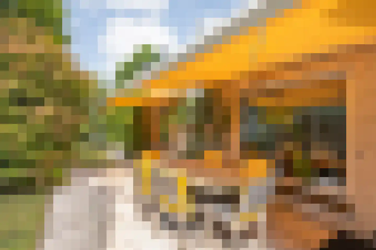 Goudplevier 14 Raalte thumbnail 57
