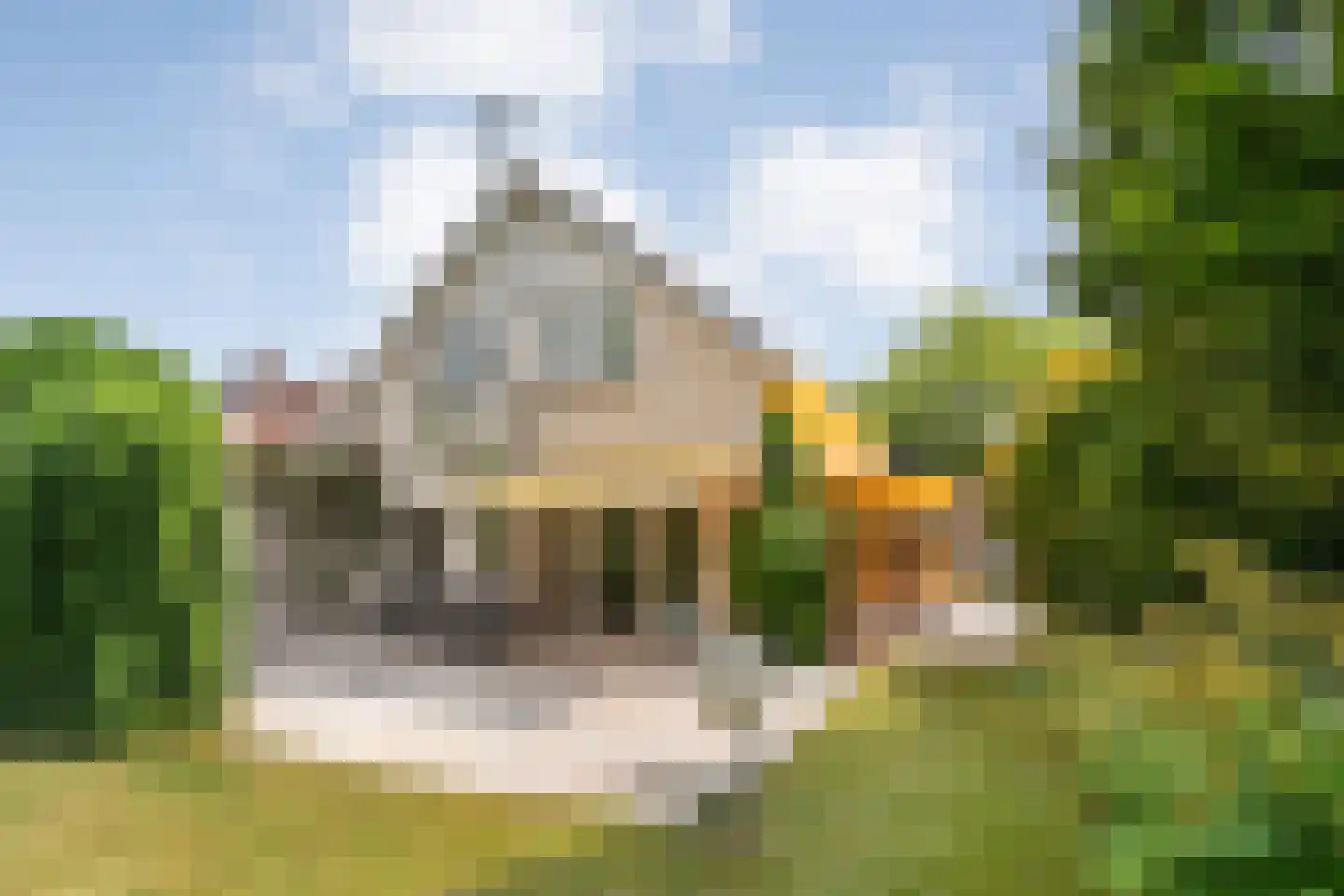 Goudplevier 14 Raalte thumbnail 58