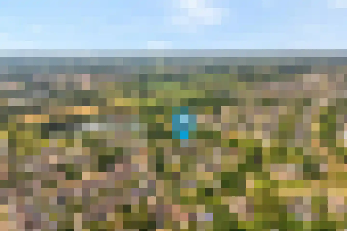 Goudplevier 14 Raalte thumbnail 6