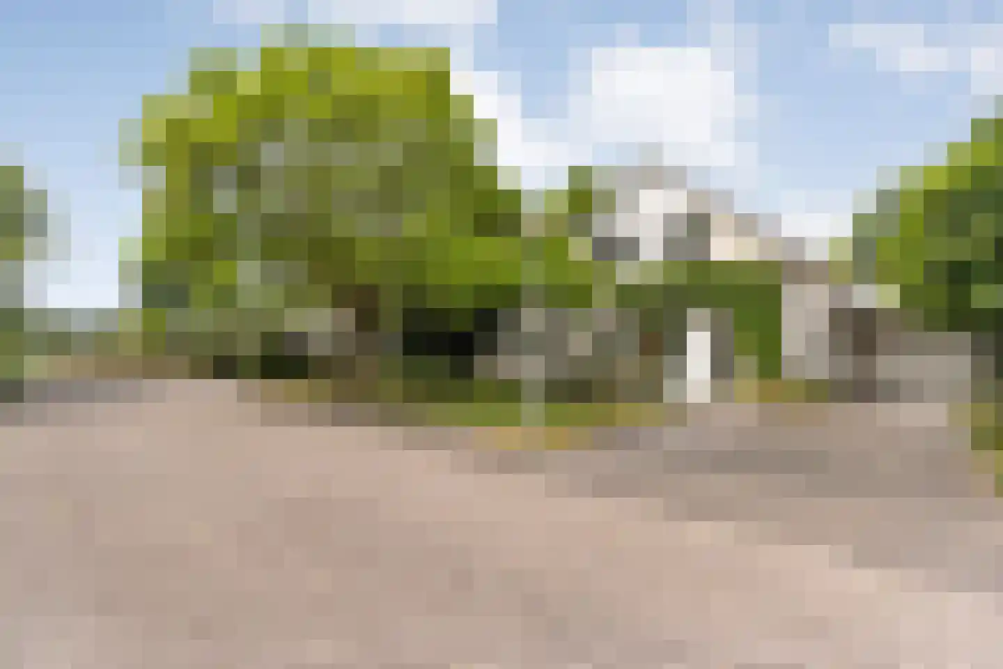 Goudplevier 14 Raalte thumbnail 7
