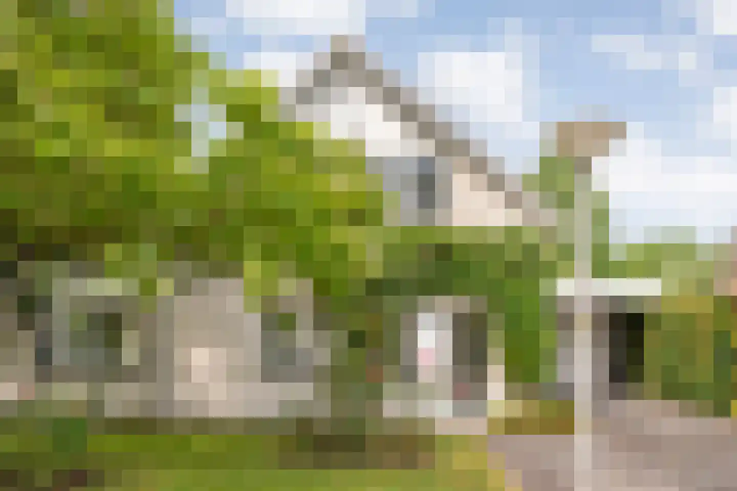 Goudplevier 14 Raalte thumbnail 8