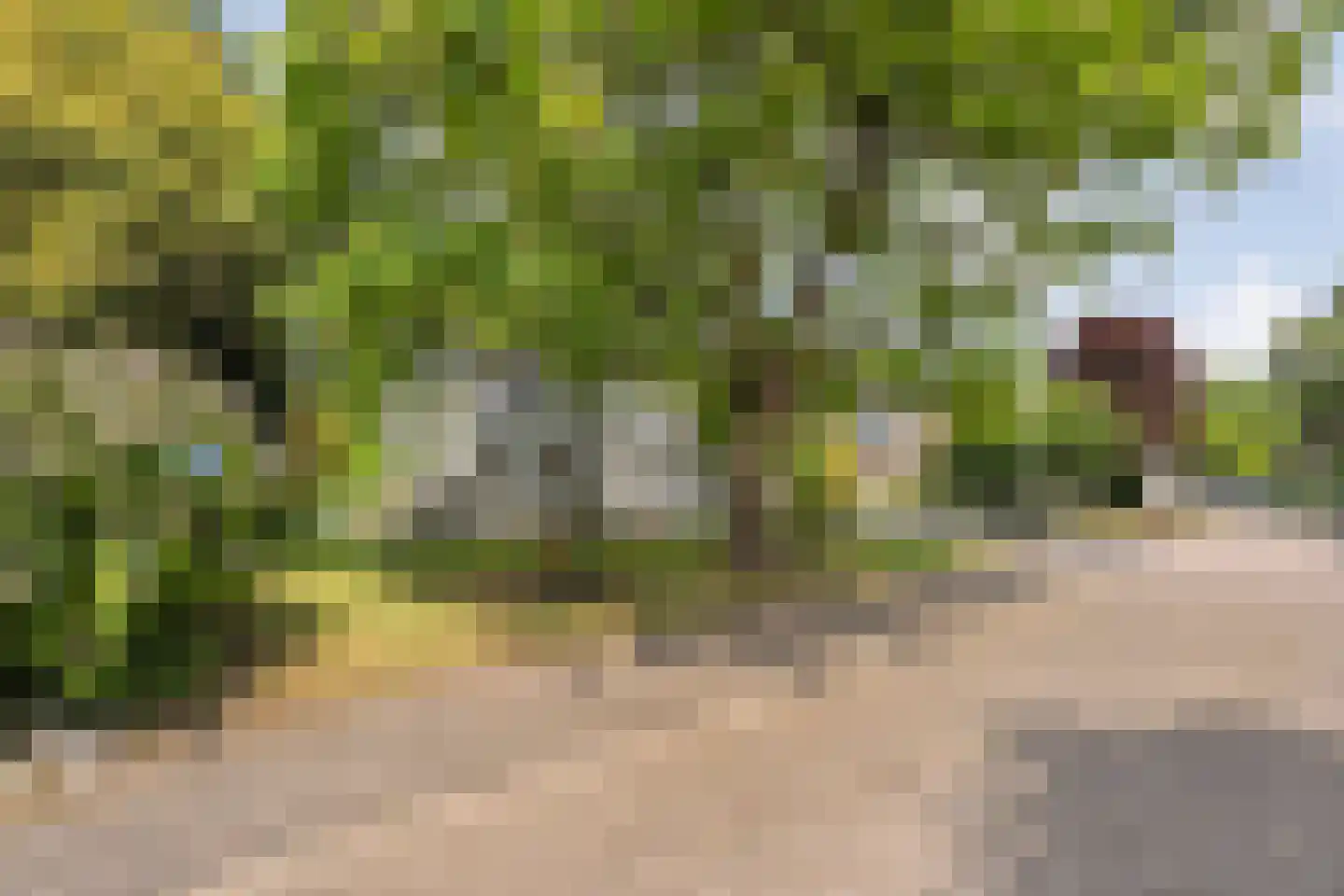 Goudplevier 14 Raalte thumbnail 9
