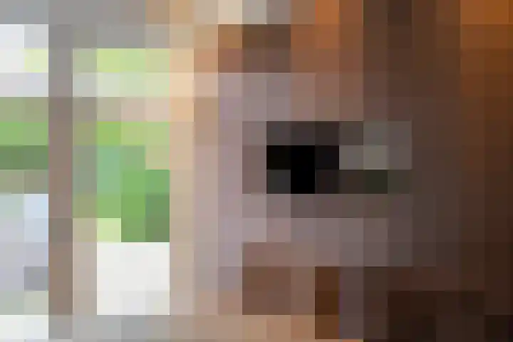Goudplevier 14 Waspik thumbnail 10