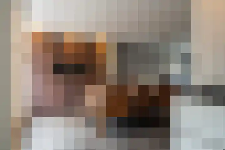 Goudplevier 14 Waspik thumbnail 12