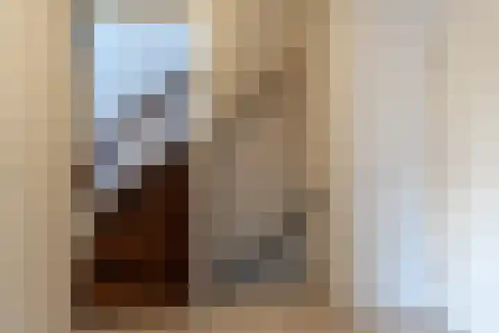 Goudplevier 14 Waspik thumbnail 16
