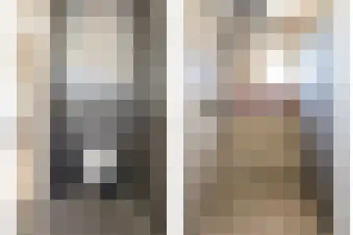 Goudplevier 14 Waspik thumbnail 22