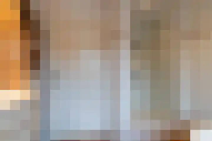 Goudplevier 14 Waspik thumbnail 23