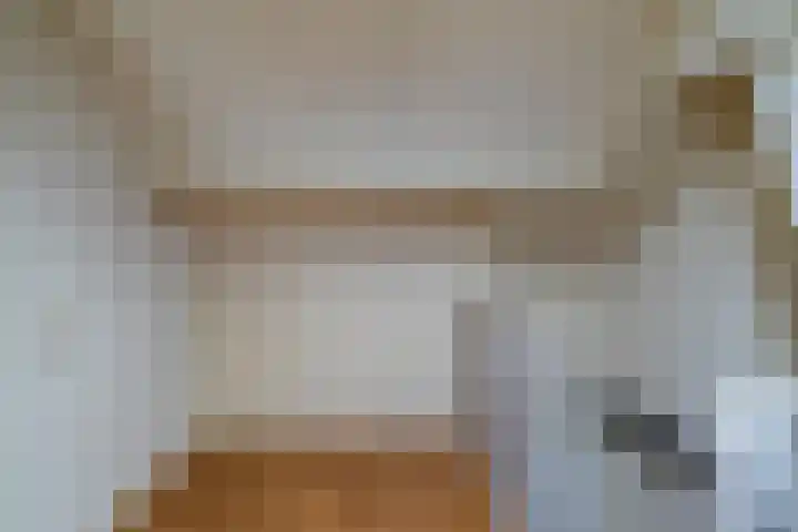 Goudplevier 14 Waspik thumbnail 26