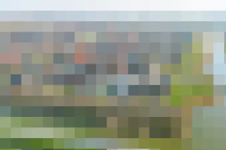 Goudplevier 14 Waspik thumbnail 28
