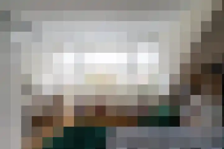 Goudplevier 14 Waspik thumbnail 29
