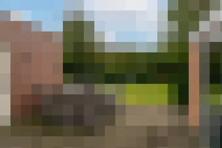 Goudplevier 14 Waspik thumbnail 30
