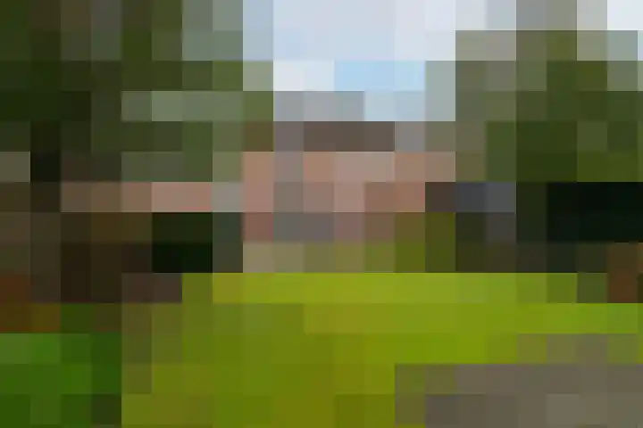 Goudplevier 14 Waspik thumbnail 31