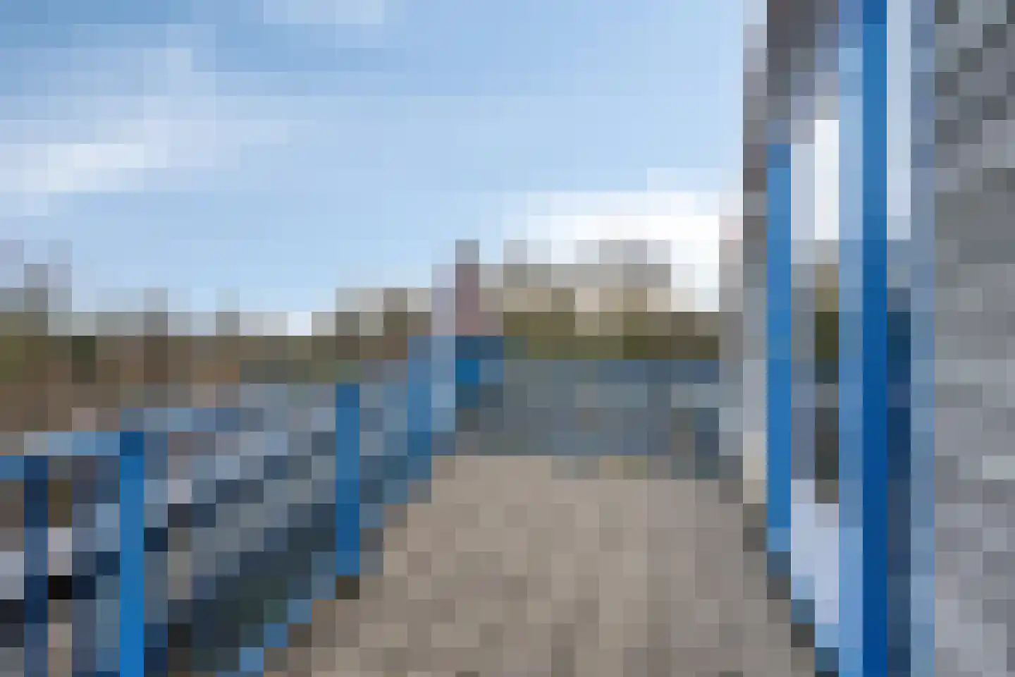Goudplevier 14 Waspik thumbnail 33