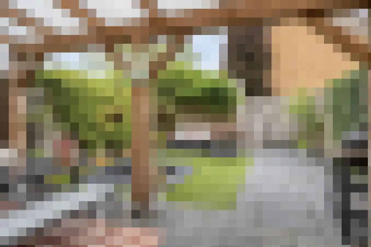 Goudplevier 144 IJsselmuiden thumbnail 29