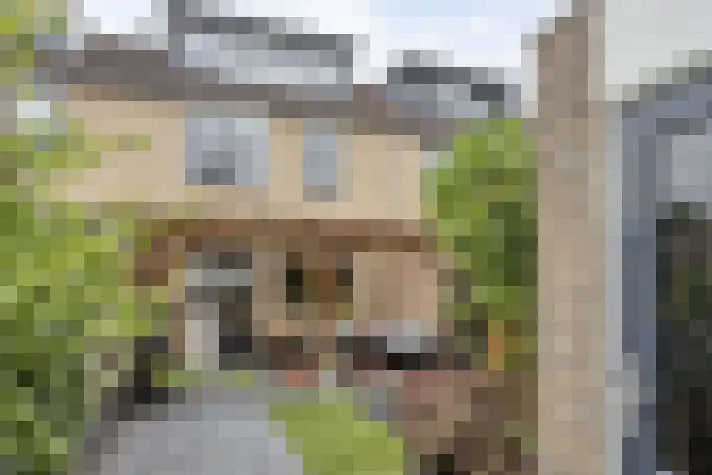 Goudplevier 144 IJsselmuiden thumbnail 32