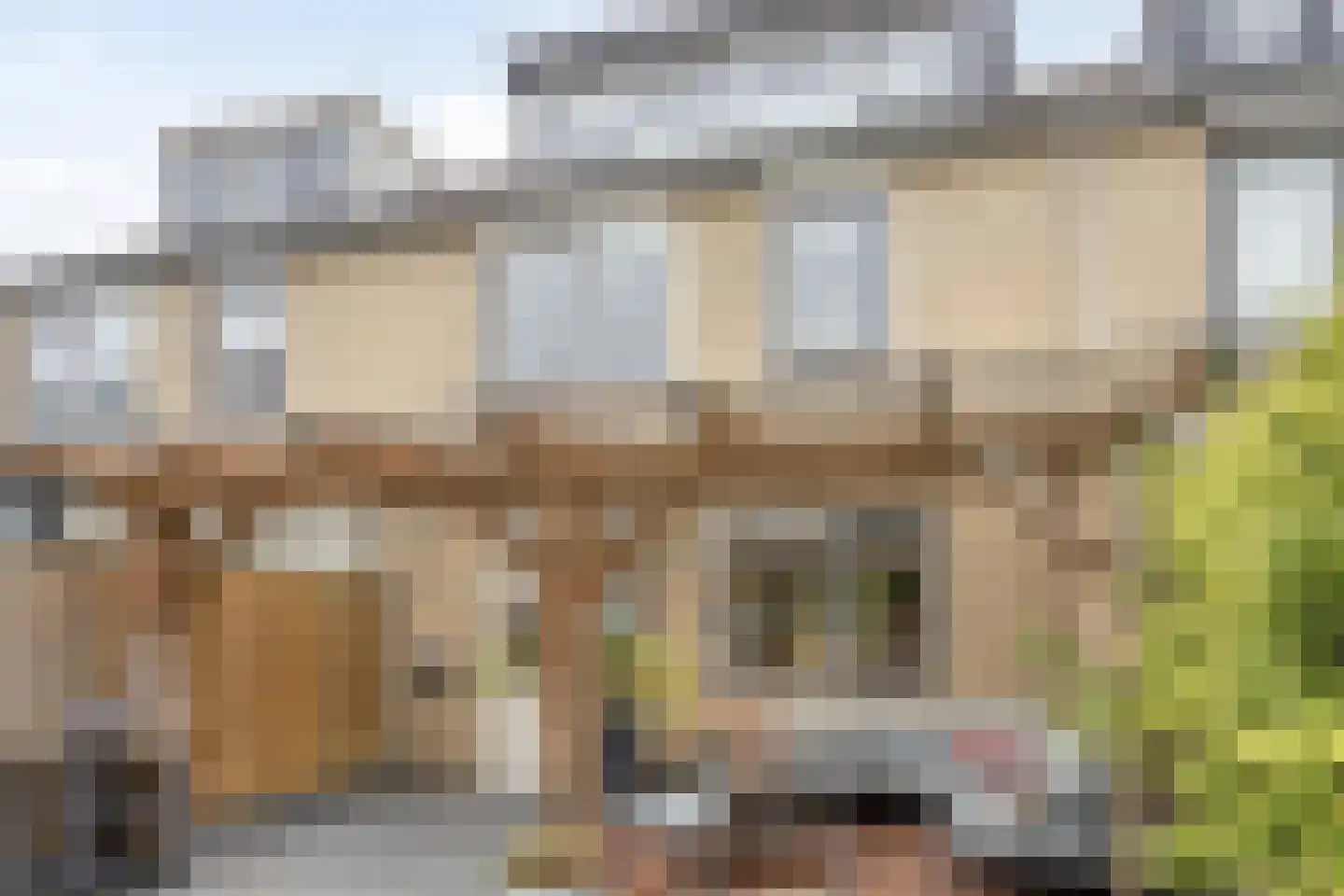 Goudplevier 144 IJsselmuiden thumbnail 33