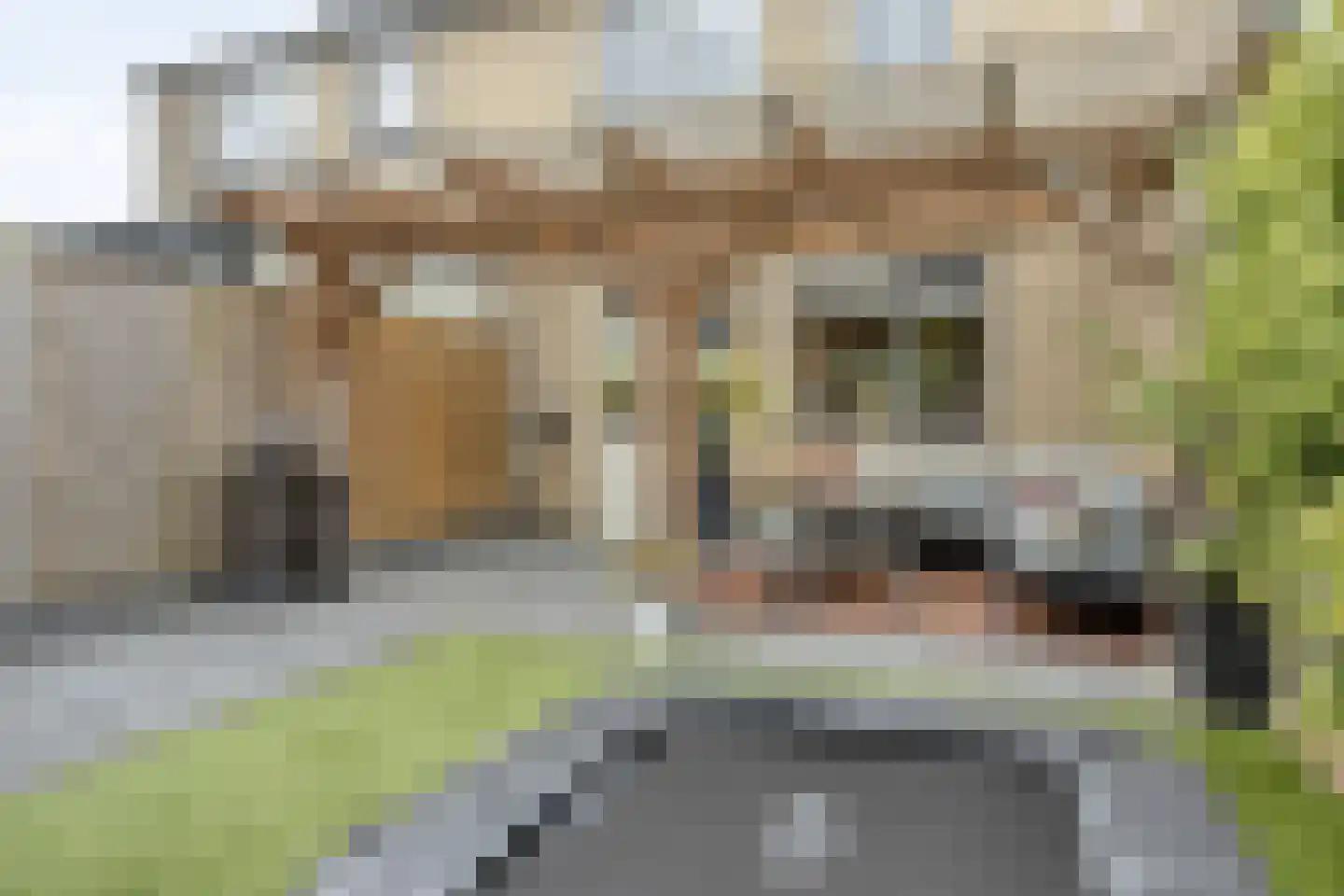 Goudplevier 144 IJsselmuiden thumbnail 34