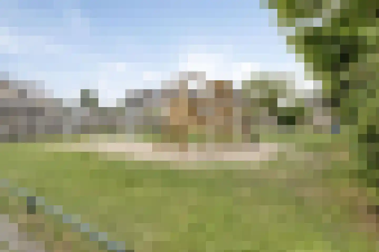 Goudplevier 144 IJsselmuiden thumbnail 36