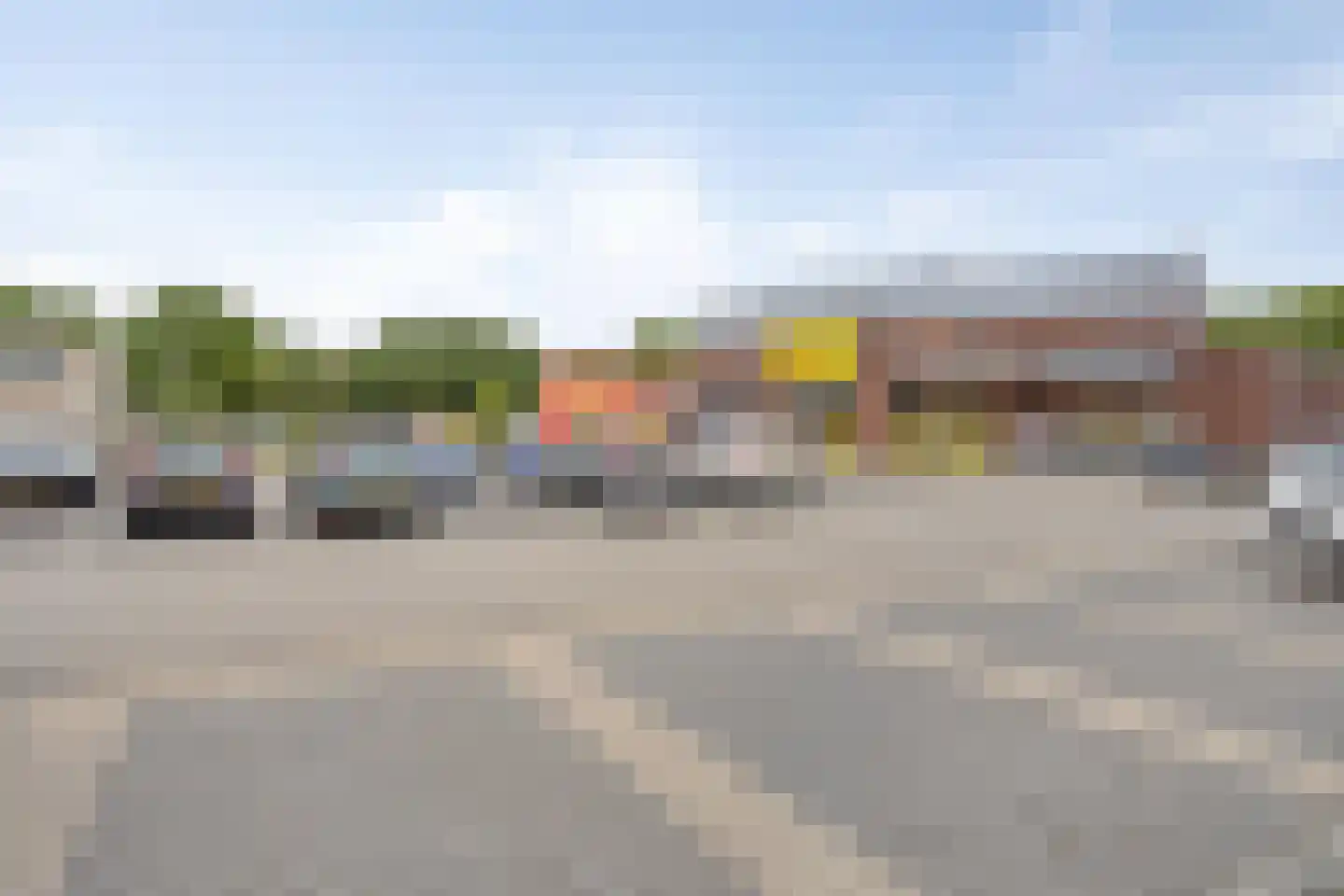Goudplevier 144 IJsselmuiden thumbnail 37