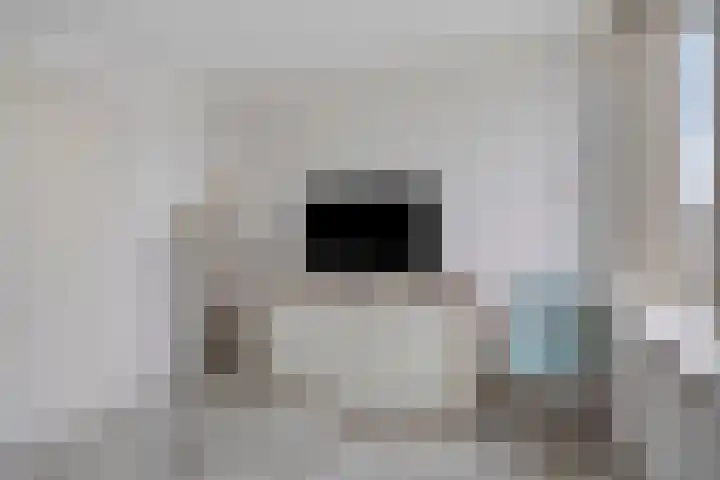 Goudplevier 151 Oss thumbnail 12