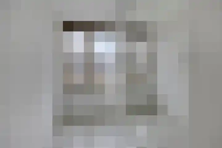 Goudplevier 151 Oss thumbnail 14