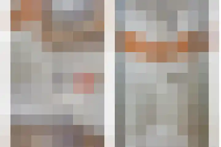 Goudplevier 151 Oss thumbnail 17