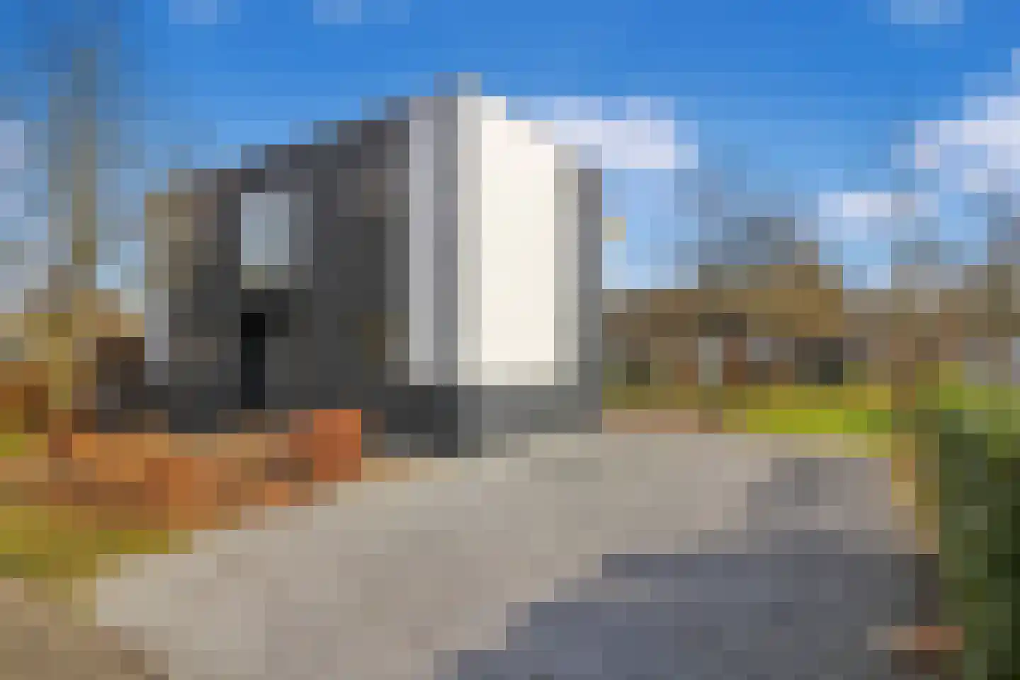 Goudplevier 151 Oss thumbnail 19