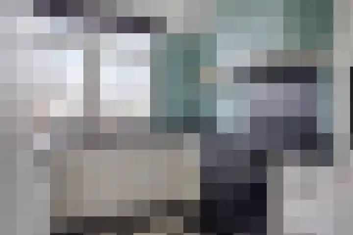 Goudplevier 151 Oss foto 2