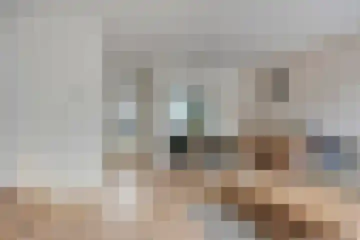 Goudplevier 151 Oss foto 3