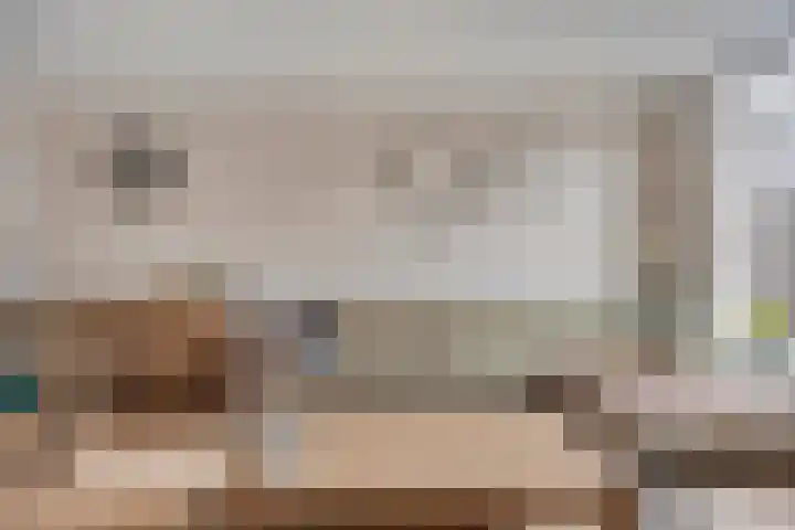 Goudplevier 151 Oss thumbnail 5